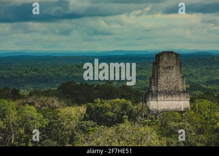 Panorama des ruines et des pyramides dans le parc national de Tikal au Guatemala. Vue sur la riche forêt de jungle avec des ruines qui sortent du sommet des arbres. Banque D'Images