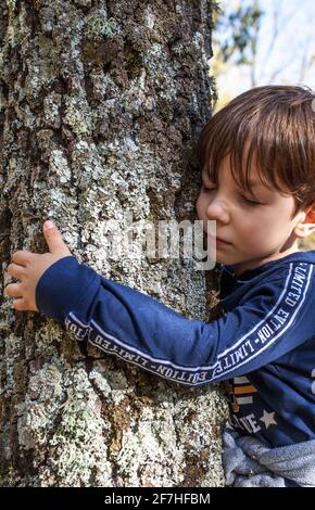 Un petit garçon embrasse le tronc d'arbre. Les enfants aiment la nature concept Banque D'Images