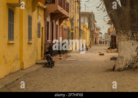 Enfants jouant dans la rue typique de Sant Louis, sénégal, vivant une vie pauvre et simple. Visible est un baobab et une rangée de maisons jaunes. Banque D'Images