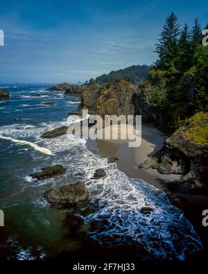 Coastline, parc national SP Boardman, comté de Curry, Oregon Banque D'Images