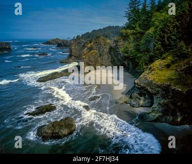 Coastline, parc national SP Boardman, comté de Curry, Oregon Banque D'Images