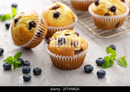 Muffins aux pépites de chocolat et aux myrtilles fraîchement cuits Banque D'Images
