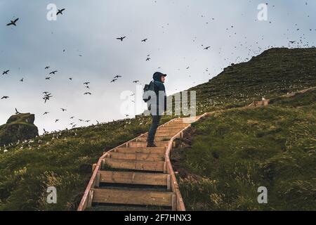 Vue panoramique sur un paysage magnifique à Mykines, avec un accent sur une famille de puffins, les îles Féroé Banque D'Images