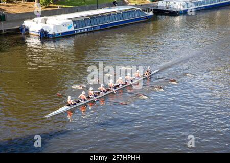 L'équipe d'aviron de Yarra River Melbourne pour hommes s'entraîne et aviron le long La rivière,Melbourne,Australie Banque D'Images