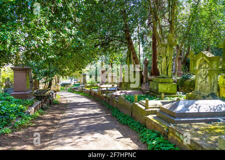 Allée entourée de tombes et de monuments au cimetière historique victorien Highgate Cemetery West, North London, Royaume-Uni Banque D'Images