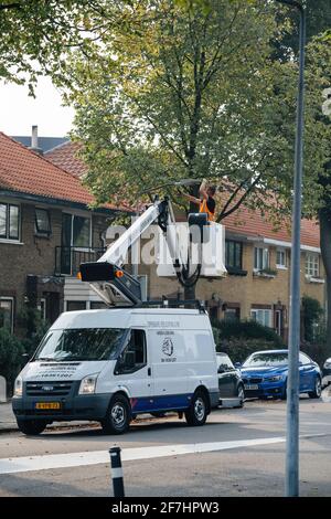 Haarlem Dutch Street avec minibus avec plateforme de haut niveau réparer le mât d'éclairage public dans un quartier calme Banque D'Images