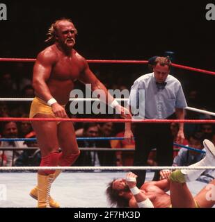 Hulk Hogan Randy Macho Man Savage 1988 photo de John Barrett/PHOTOLINK Banque D'Images