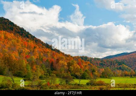 Couleur d'automne brillante dans les montagnes vertes de la chaîne de montagnes Adirondack, Vermont, États-Unis. Banque D'Images