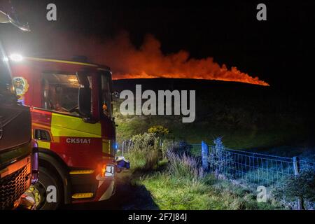 Bantry, West Cork, Irlande. 8 avril 2021. Un énorme feu de gorge a décimé des centaines d'acres à Seskin, Bantry pendant la nuit. Trois unités de la brigade des pompiers de Bantry ont assisté à la scène et, grâce à l'utilisation contrôlée de brûlants, de tuyaux et de fouets, ont permis de maîtriser l'incendie. On pense que l'incendie a été délibérément déclenché. Crédit : AG News/Alay Live News Banque D'Images