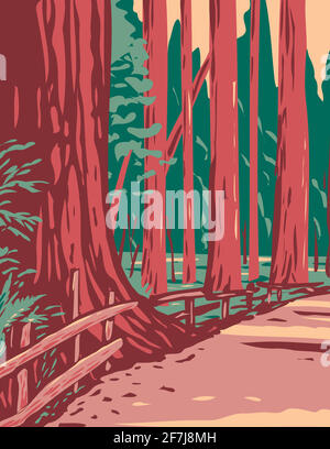 WPA Poster Art of Redwoods dans l'avenue de la Les géants sont entourés par le parc national Humboldt Redwoods situé dans Arcata Californie fait dans les travaux proje Illustration de Vecteur
