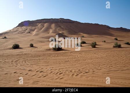 Autour de Nazwa et du désert de roche rose, observation du sable et de la plante dans le désert, sharjah, Émirats arabes Unis Banque D'Images