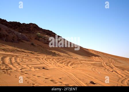 Autour de Nazwa et du désert de roche rose, observation du sable et de la plante dans le désert, sharjah, Émirats arabes Unis Banque D'Images