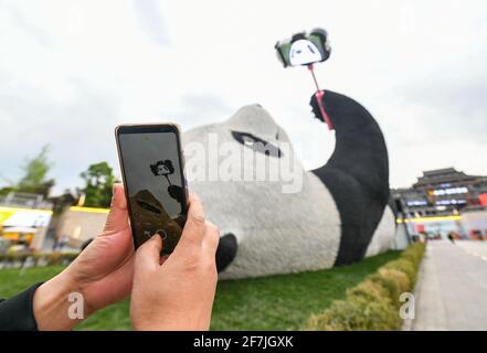 (210408) -- CHENGDU, le 8 avril 2021 (Xinhua) -- UN touriste prend des photos de la sculpture de 'Sefie Panda' sur la place Yangtianwo à Dujiangyan, dans le sud-ouest de la Chine, dans la province du Sichuan, le 7 avril 2021. Création de l'artiste néerlandais Florentijn Hofman, la sculpture a une dimension de 26,5 m sur 11 m sur 12 m, avec un panda géant à prise de selfie couché sur le dos. Pesant 130 tonnes, le travail prend forme à l'aide de trois millions de tiges en acier inoxydable peintes en laque. « Seelfie Panda » s'inspire d'un véritable panda géant qui s'est égaré dans le centre-ville de Dujiangyan en 2005. Il est rapidement devenu un spot photogénique populaire fol Banque D'Images