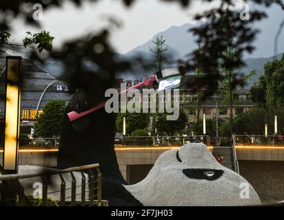 (210408) -- CHENGDU, le 8 avril 2021 (Xinhua) -- la photo prise le 7 avril 2021 montre la sculpture de 'Sefie Panda' exposée sur la place Yangtianwo à Dujiangyan, dans le sud-ouest de la province du Sichuan en Chine. Création de l'artiste néerlandais Florentijn Hofman, la sculpture a une dimension de 26,5 m sur 11 m sur 12 m, avec un panda géant à prise de selfie couché sur le dos. Pesant 130 tonnes, le travail prend forme à l'aide de trois millions de tiges en acier inoxydable peintes en laque. « Seelfie Panda » s'inspire d'un véritable panda géant qui s'est égaré dans le centre-ville de Dujiangyan en 2005. Il est rapidement devenu une SpO photogénique populaire Banque D'Images