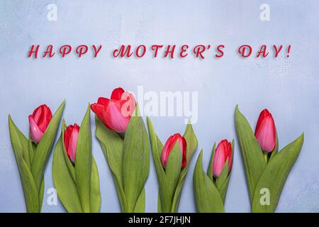 Peu de fleurs de tulipe naturelles, rose vif et rouge avec des feuilles vertes et texte de salutation de la fête des mères de Hapy sur fond de béton texturé bleu. Gréétine Banque D'Images