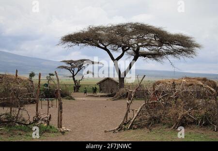 Les Masai et leurs huttes dans un village qui se mêle à la nature en Tanzanie, Afrique. Banque D'Images