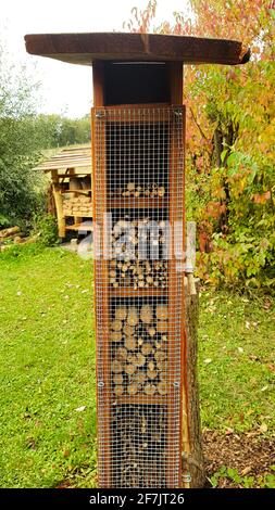 Insectes hôtel en bois avec protection des oiseaux abeilles les abeilles sauvages nichent ici, trous comme l'aide de couvain larves insecte bébé progéniture parc de jardin sauvage Banque D'Images