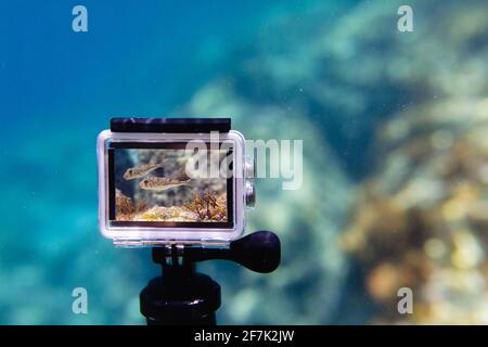 Utilisation de l'action-camera dans un boîtier étanche pour réaliser des photos et des vidéos sous l'eau en mode live view Banque D'Images