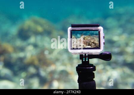 Utilisation de l'action-camera dans un boîtier étanche pour réaliser des photos et des vidéos sous l'eau en mode live view Banque D'Images