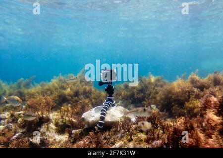 Utilisation de l'action-camera dans un boîtier étanche sur un mini pliable flexible trépied pour prendre des photos et réaliser des vidéos sous l'eau à partir du bas de la mer Banque D'Images