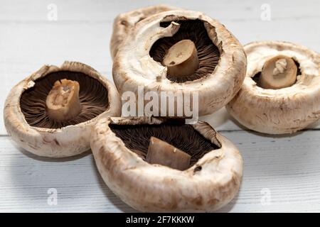 Exposition de grands champignons plats sur un comptoir de cuisine blanc Banque D'Images