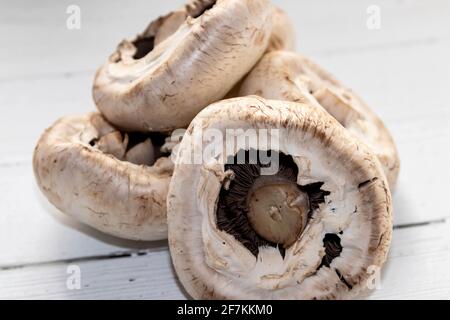 Groupe de grands champignons plats sur un comptoir de cuisine prêt à ajouter à d'autres ingrédients Banque D'Images