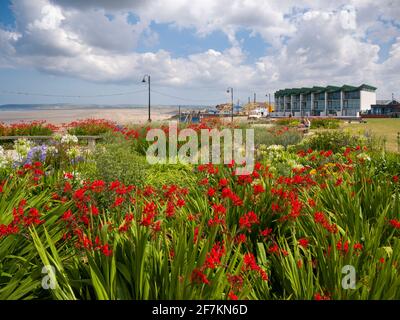 Les jardins sur la promenade du village de bord de mer de Westward Ho!, avec la plage de sable au-delà, North Devon, Angleterre. Banque D'Images