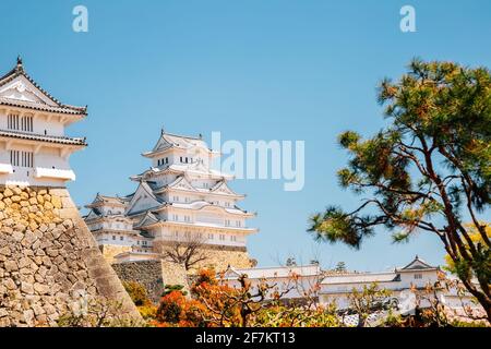 Printemps du château Himeji au Japon Banque D'Images