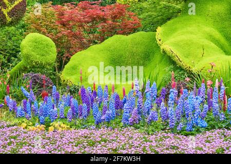 Parc chinois jardin floral Hangzhou, Chine Banque D'Images