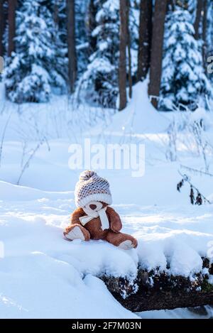 Un ours en peluche farci portant une écharpe et un chapeau est assis sur la neige dans la forêt d'hiver par temps ensoleillé. Banque D'Images