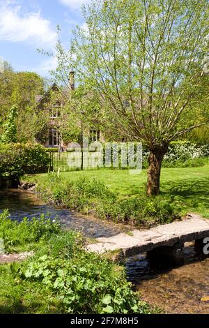 Un saule qui pousse à côté de l'ancien pont en pierre au-dessus du River Eye dans le village de Upper Slaughter, Gloucestershire, Royaume-Uni Banque D'Images