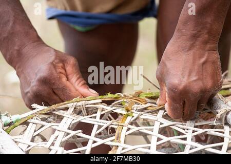 Pêcheur local réparant son piège à poissons en bambou sur la belle île de rodrigues, océan indien, maurice Banque D'Images