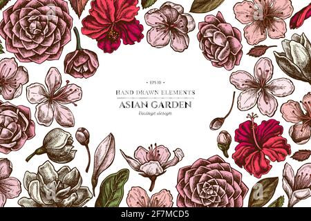 Motif fleuri avec hibiscus coloré, fleurs de prune, fleurs de pêche, fleurs de sakura, fleurs de magnolia, camellia japonica Illustration de Vecteur