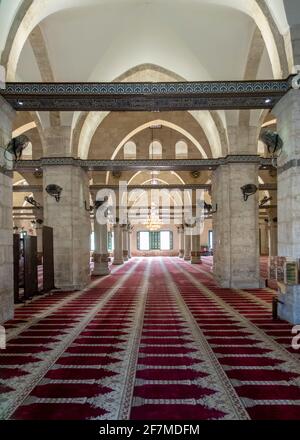 Vue sur la salle de prière hypostyle de la mosquée Al-Aqsa Le Mont du Temple connu des musulmans comme le Haram esh-Sharif Dans la vieille ville est Jérusalem Israël Banque D'Images