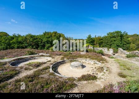 L'exploitation minière historique demeure à Poldice Valley près de St Day and Redruth Cornwall Angleterre Royaume-Uni Europe Banque D'Images