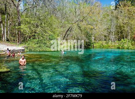 tête de source, eau claire, personnes nageant, homme snorkeling, loisirs, Frais, nature, nouvelle croissance foliaire, parc national d'Ichetucknee Springs, Floride, fort Wh Banque D'Images