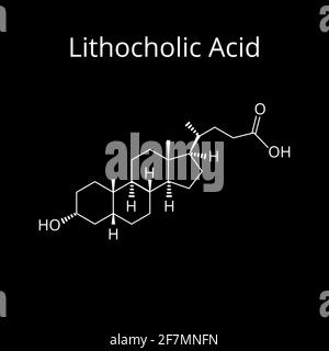 Acide lithocholique. Acide biliaire. Formule moléculaire chimique acide lithocholique. Illustration vectorielle sur un arrière-plan isolé Illustration de Vecteur
