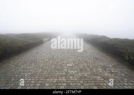 Revêtement de la route en pierre avec du brouillard devant, à la verticale Banque D'Images