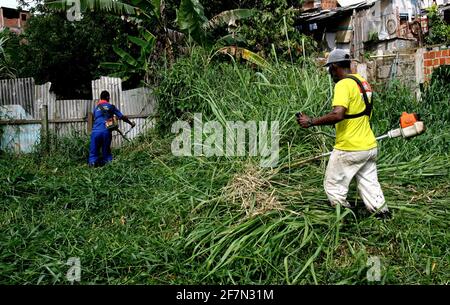 Itabuna, bahia / brésil - 5 janvier 2012 : les responsables de la ville nettoient le Bush qui prend le contrôle du quartier de Novo Horizonte dans la ville d'Itabuna. *** L Banque D'Images