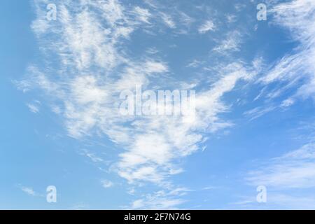 Des nuages de cirrus blancs contre le ciel bleu. Arrière-plan des nuages Banque D'Images