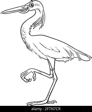 Illustration de dessin animé noir et blanc d'un animal drôle d'oiseau aigreet page de livre de coloriage de caractères Illustration de Vecteur