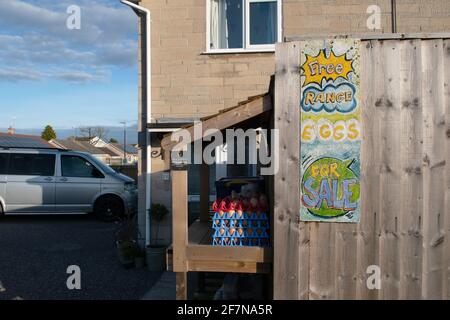 Egg stall en libre-service, Frome, Somerset, Royaume-Uni Banque D'Images