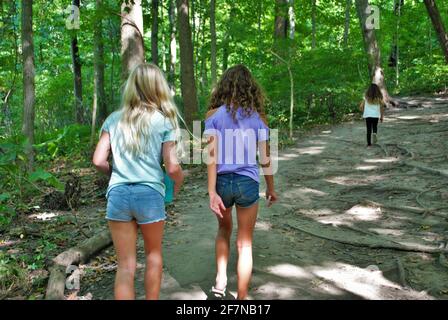 Trois petites filles faisant une randonnée dans les bois Banque D'Images