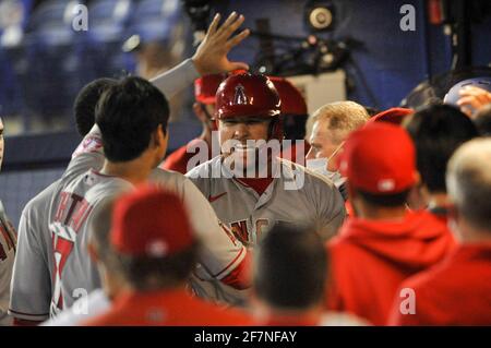 Dunedin, États-Unis. 08 avril 2021. Les coéquipiers des Anges de Los Angeles félicitent Mike Trout (C) dans le dugout après sa course à domicile en solo pendant le cinquième repas contre les Blue Jays de Toronto au TD Ballpark à Dunedin, en Floride, le jeudi 8 avril 2021. Photo de Steven J. Nesius/UPI crédit: UPI/Alamy Live News Banque D'Images