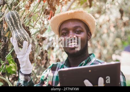 Un fermier africain vérifie un melon de légume bio ferme avec utilisation de la tablette Banque D'Images