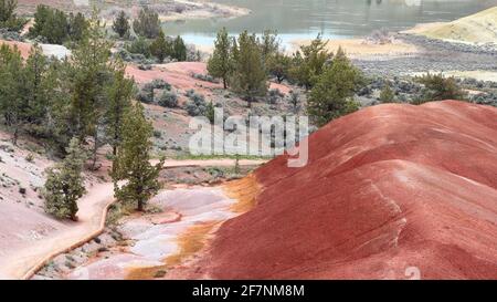 Les incroyables collines peintes de l'Oregon Banque D'Images