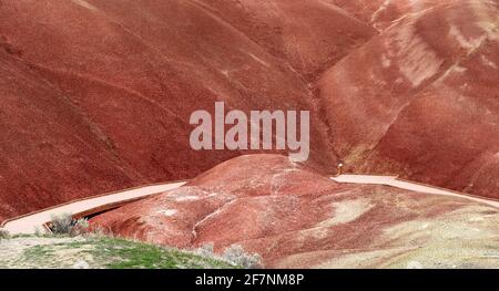 Les incroyables collines peintes de l'Oregon Banque D'Images