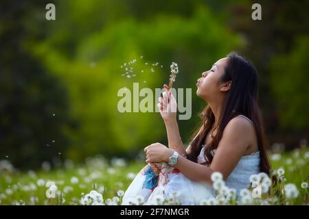 Vue latérale d'une philippine assise sur l'herbe et soufflant pissenlit en été sur le terrain Banque D'Images