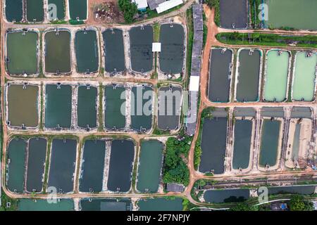 Vue de dessus de l'aquaculture des affaires de crevettes et de la ferme de poissons et pompe d'aérateur dans l'étang creusé à la campagne Banque D'Images