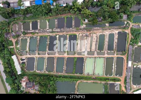 Vue de dessus de l'aquaculture des affaires de crevettes et de la ferme de poissons et pompe d'aérateur dans l'étang creusé à la campagne Banque D'Images